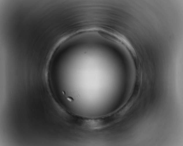 X0000092260805200709211118