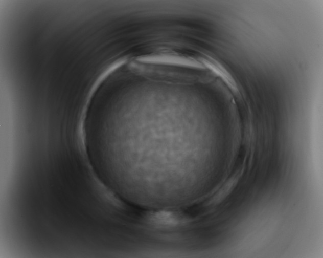 X0000092260806200709211118