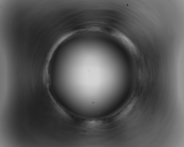 X0000092260808200709211118