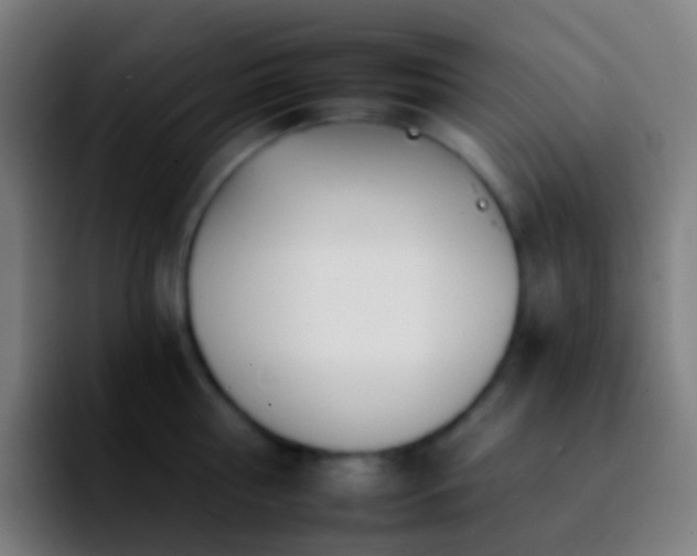 X0000092260810200709211118