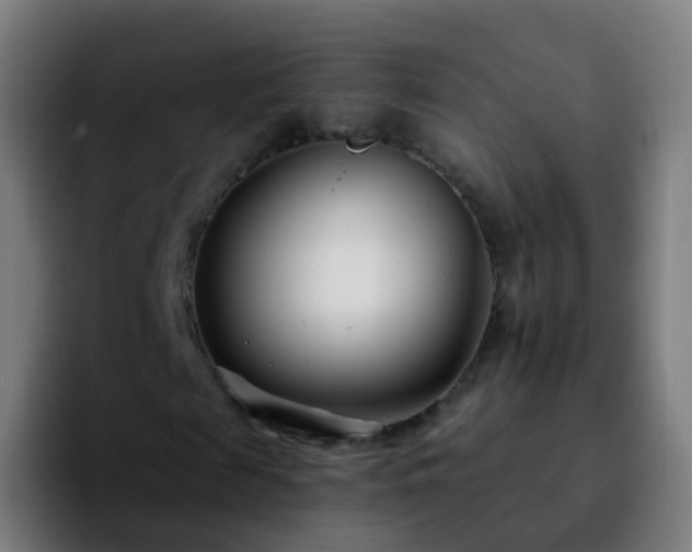 X0000092260817200709211117