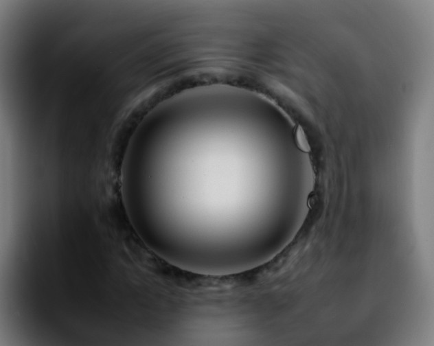 X0000092260822200709211117