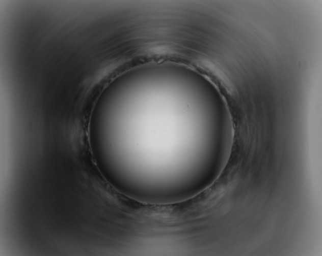 X0000092260823200709211117