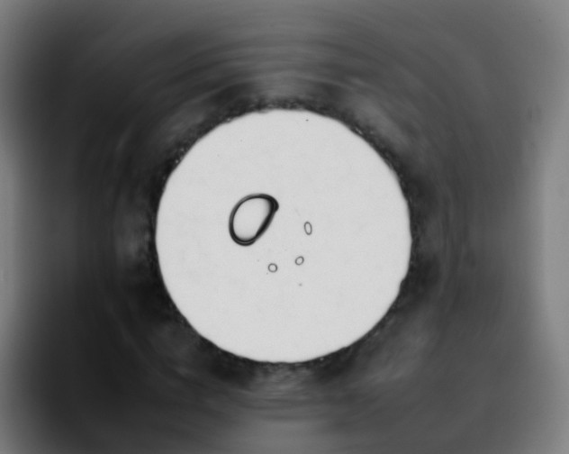 X0000092260824200709211117