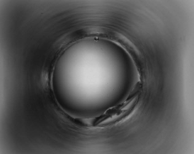 X0000092260825200709211117