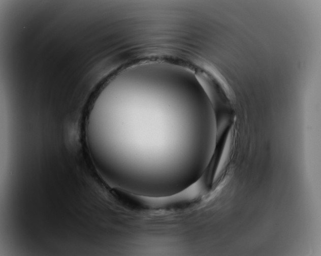 X0000092260826200709211117