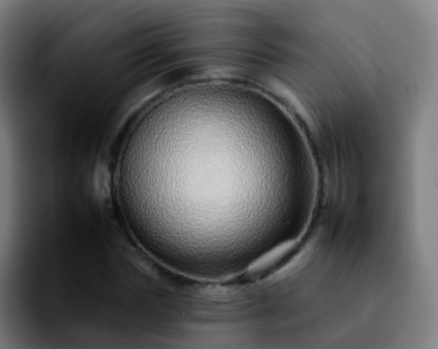 X0000092260827200709211117