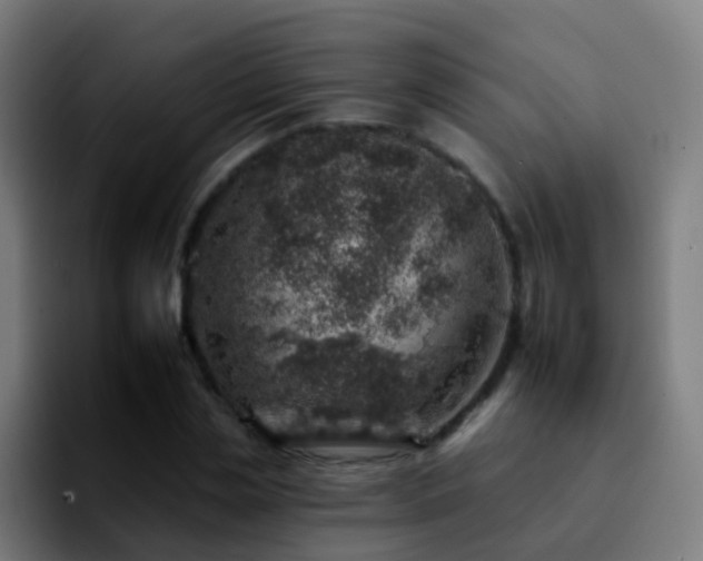 X0000092260829200709211117