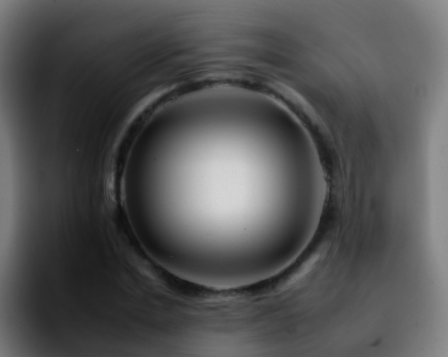 X0000092260830200709211117