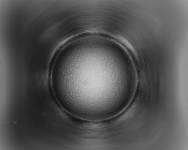 X0000092260831200709211117