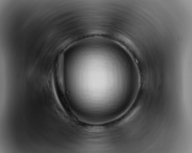 X0000092260833200709211118