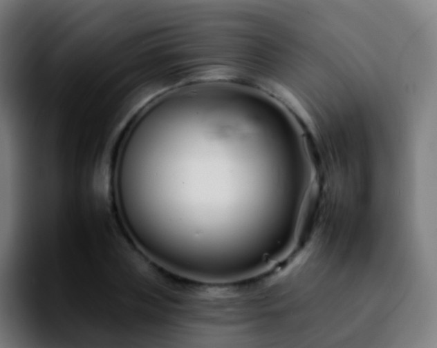 X0000092260835200709211118