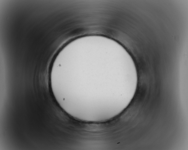 X0000092260836200709211118