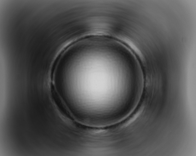 X0000092260837200709211118