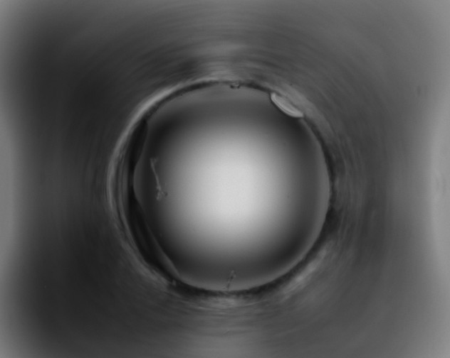 X0000092260838200709211118