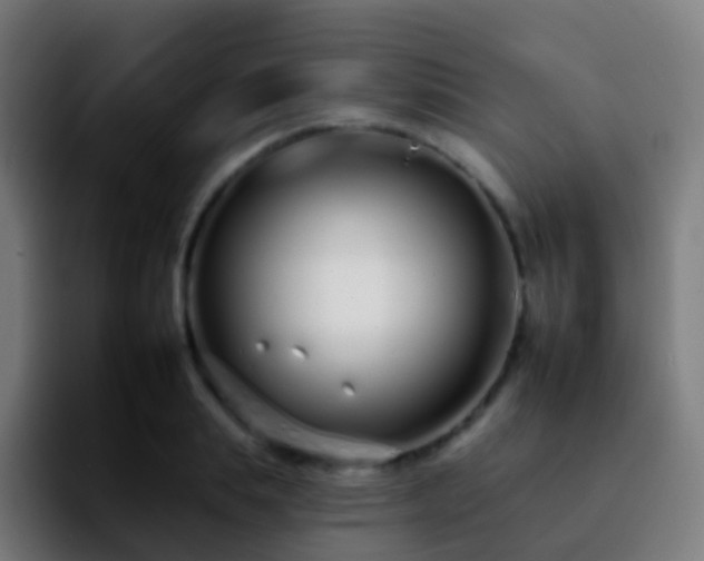 X0000092260839200709211118