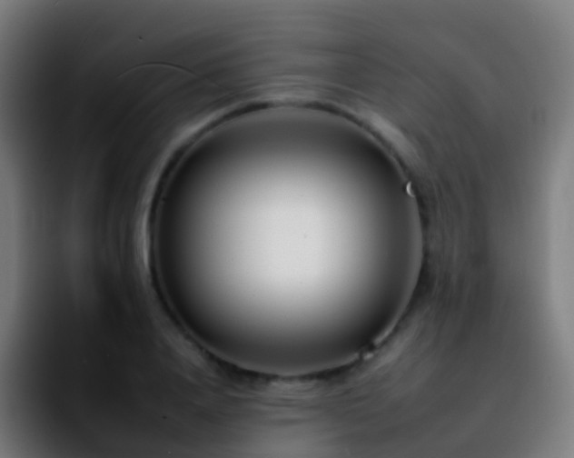 X0000092260840200709211118