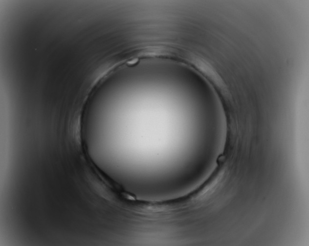 X0000092260842200709211118