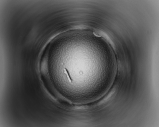 X0000092260843200709211118