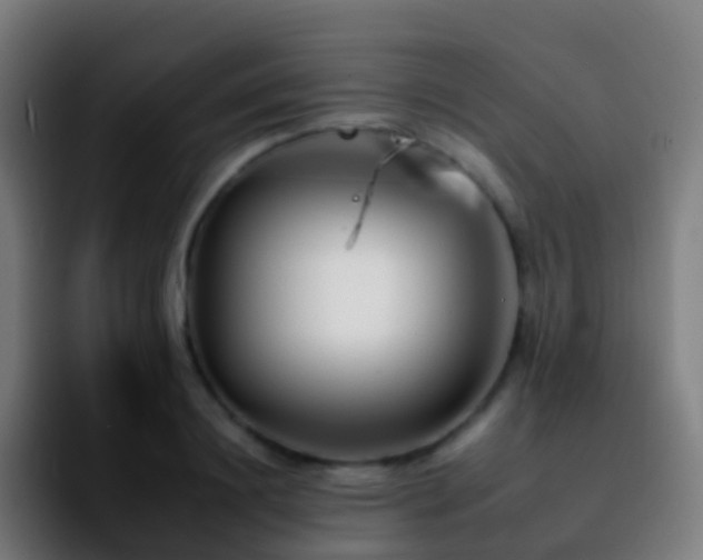 X0000092260844200709211118