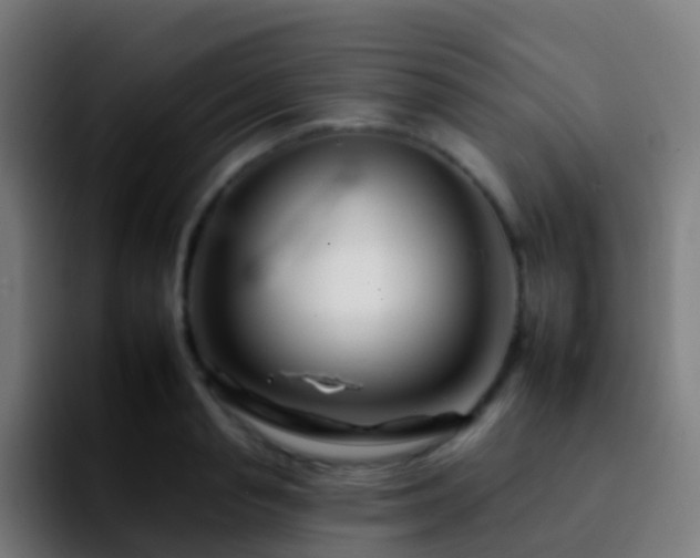 X0000092260845200709211118