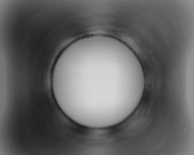 X0000092260848200709211118