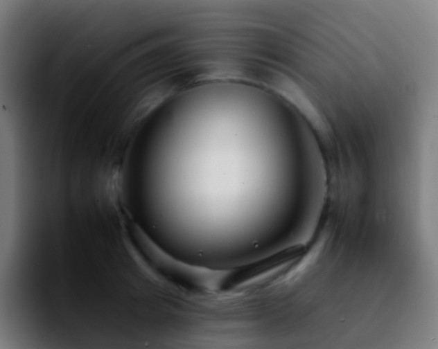 X0000092260849200709211118