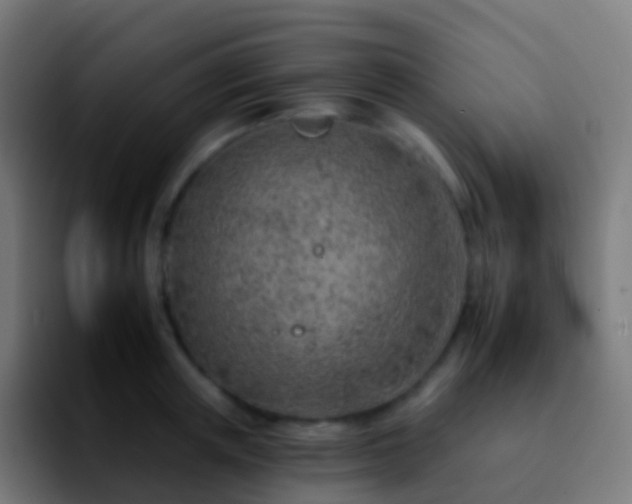 X0000092260851200709211118