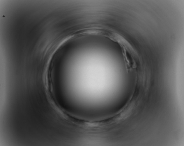 X0000092260852200709211118