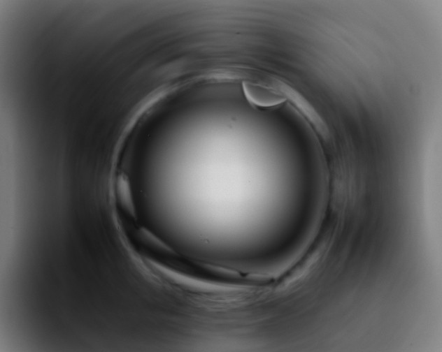 X0000092260853200709211118