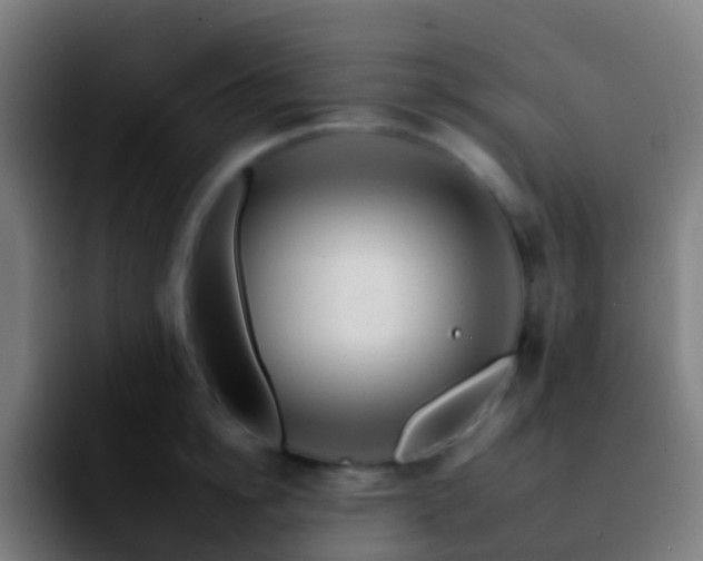 X0000092260854200709211118