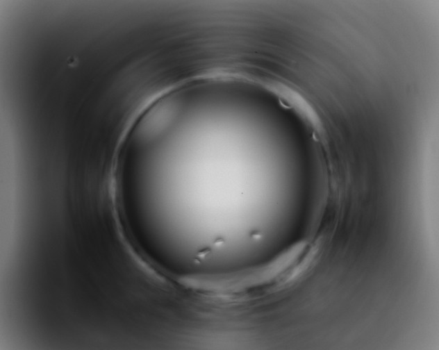 X0000092260855200709211118