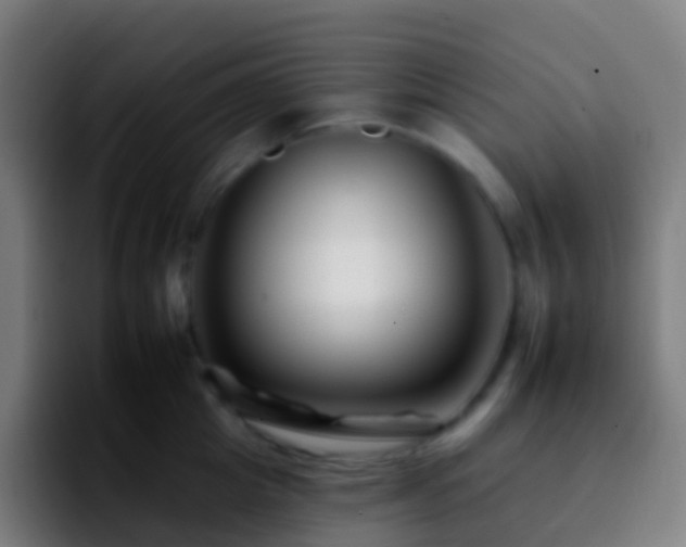 X0000092260857200709211118