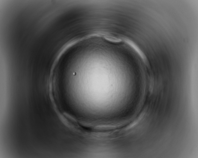 X0000092260861200709211118