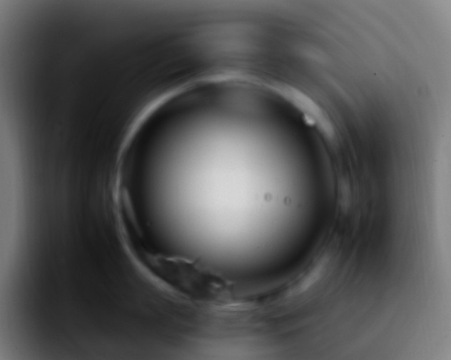 X0000092260863200709211118