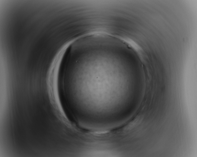 X0000092260864200709211118