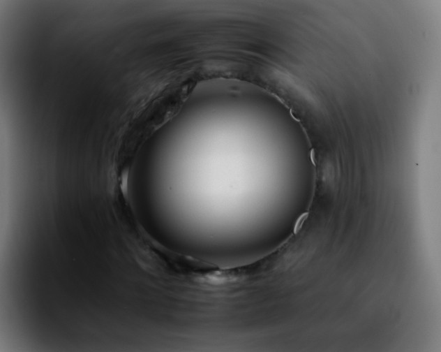 X0000092260868200709211117