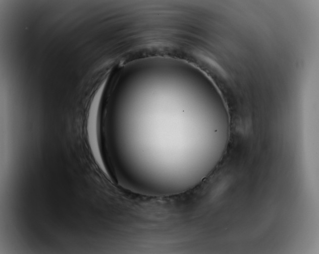 X0000092260869200709211117