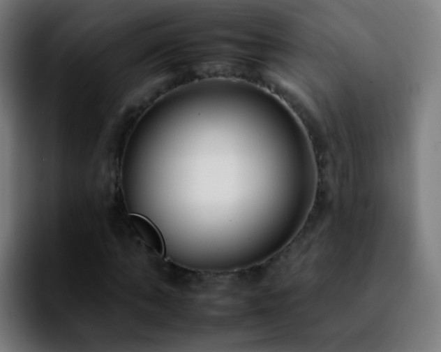 X0000092260870200709211117