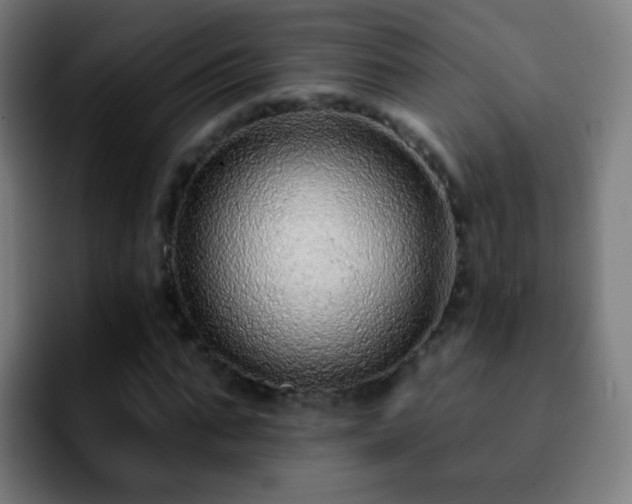 X0000092260871200709211117