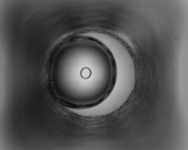 X0000092260872200709211117