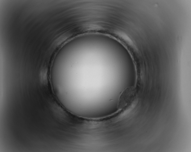 X0000092260873200709211117