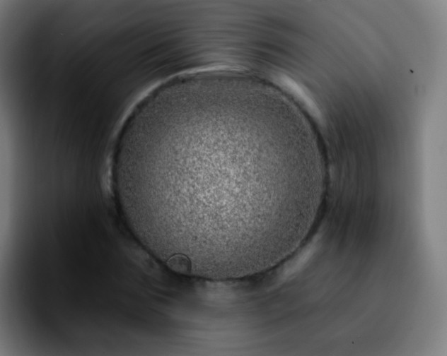 X0000092260875200709211117