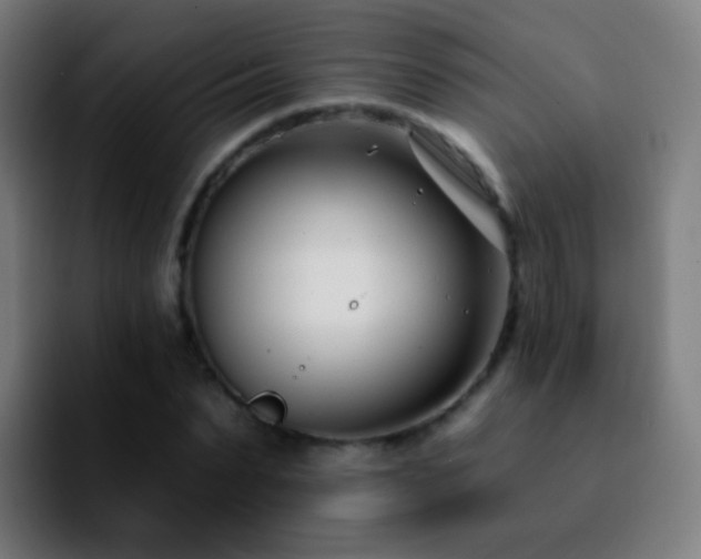 X0000092260879200709211117