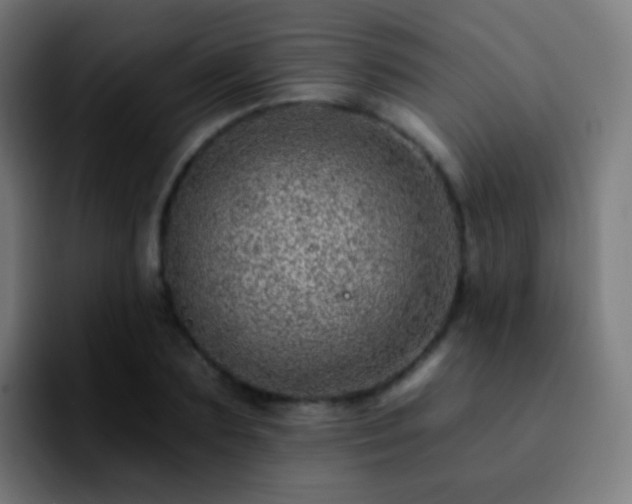 X0000092260883200709211117