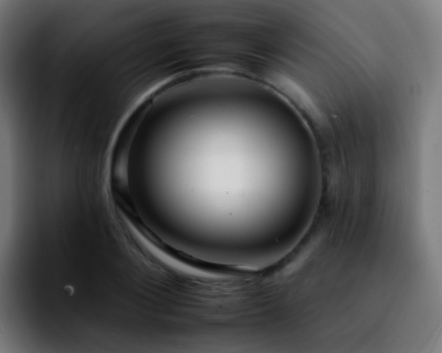 X0000092260884200709211117