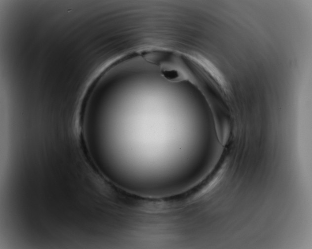 X0000092260885200709211117