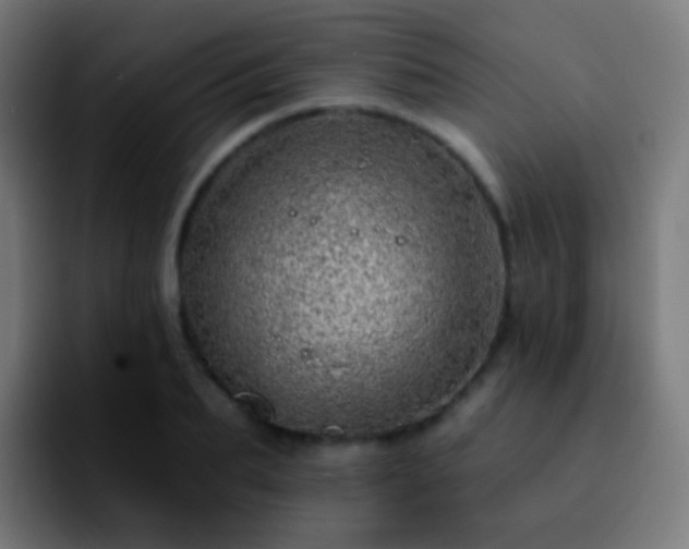 X0000092260887200709211117