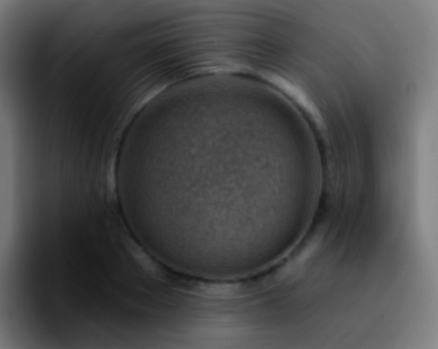 X0000092260889200709211117