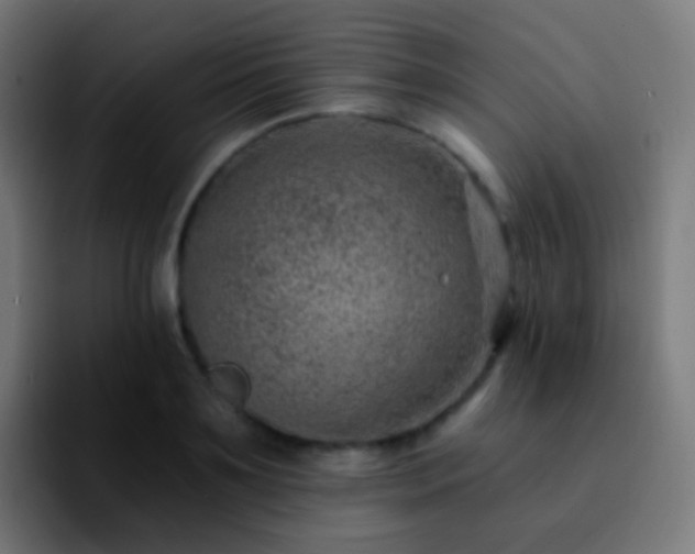 X0000092260891200709211117